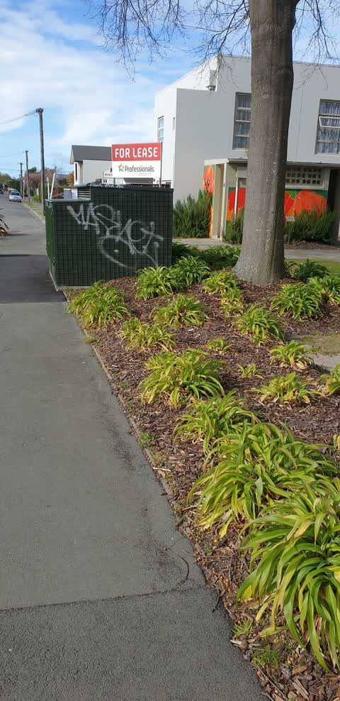 Graffiti, a report photo