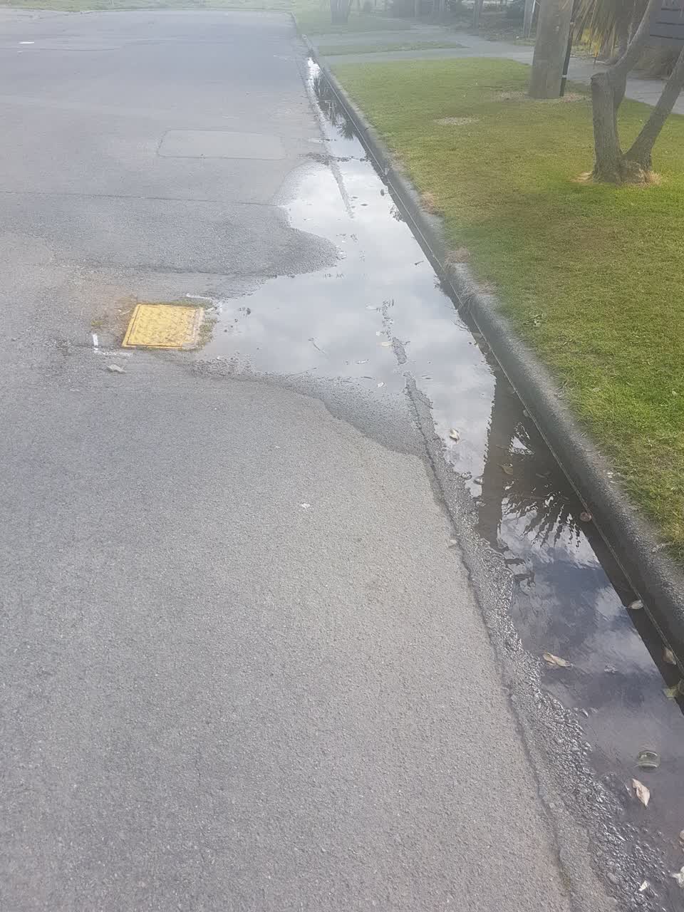 The photograph attached to this water leak report