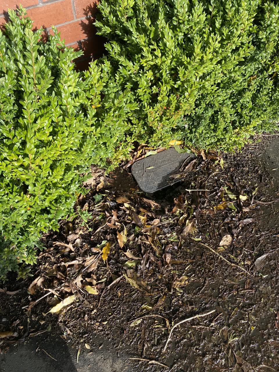 The photograph attached to this water leak report