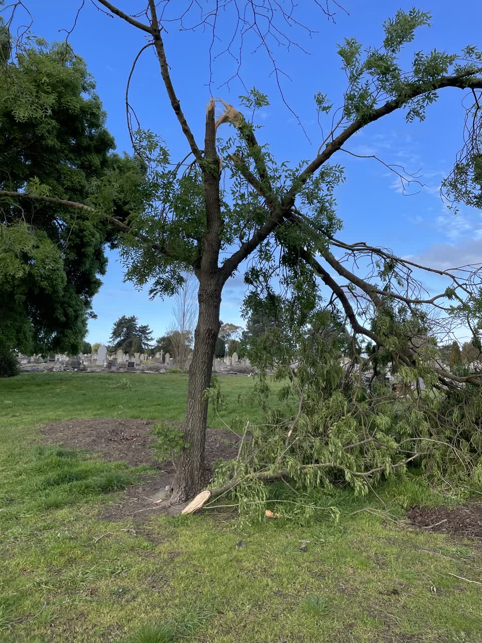 The photograph attached to this parks report
