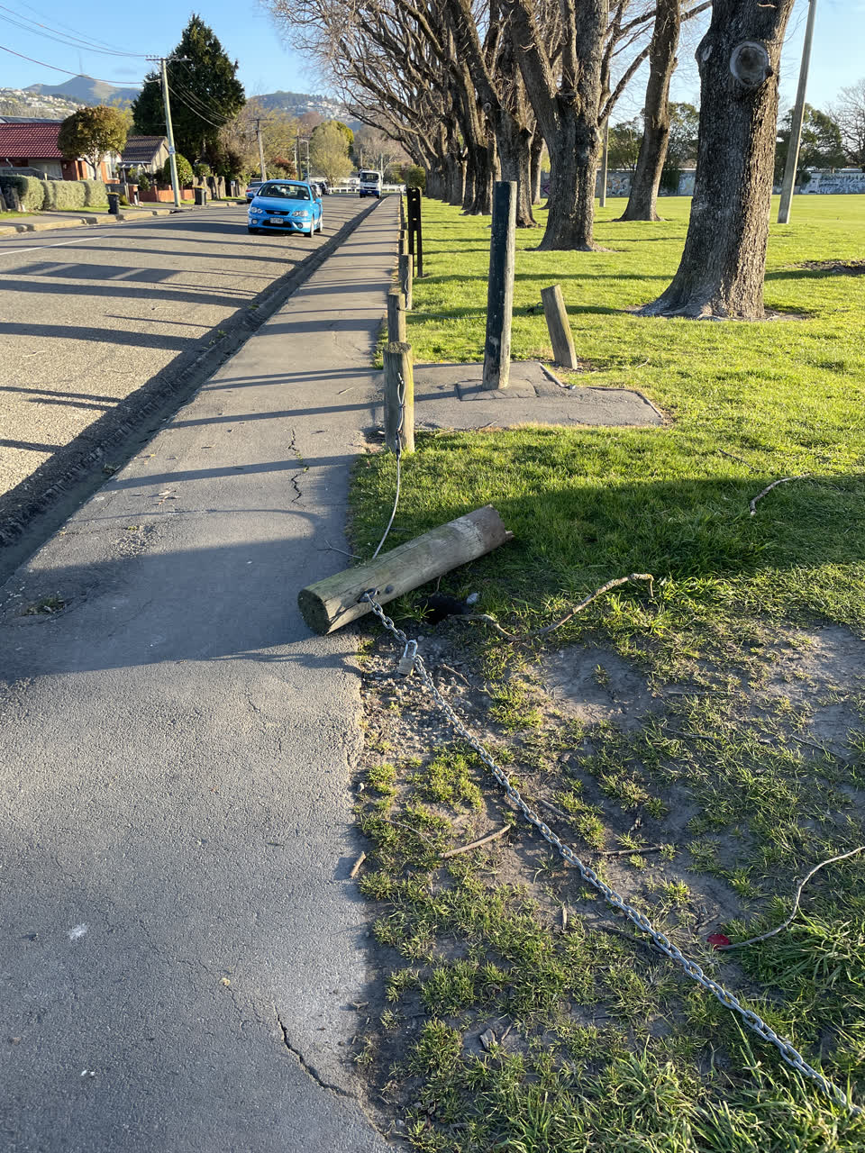 The photograph attached to this parks report