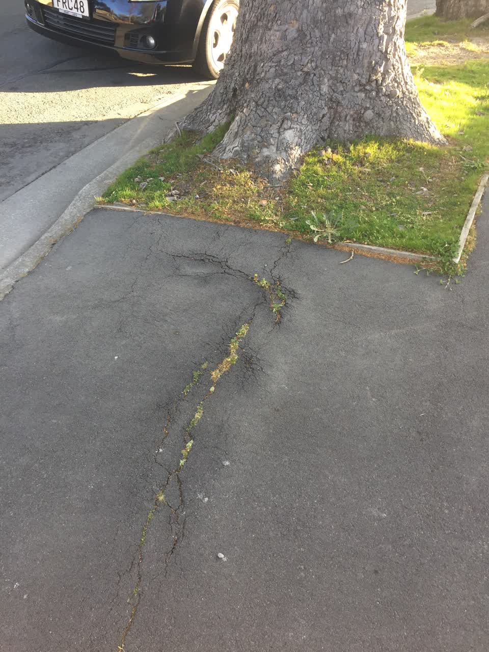 The photograph attached to this roading/streets report