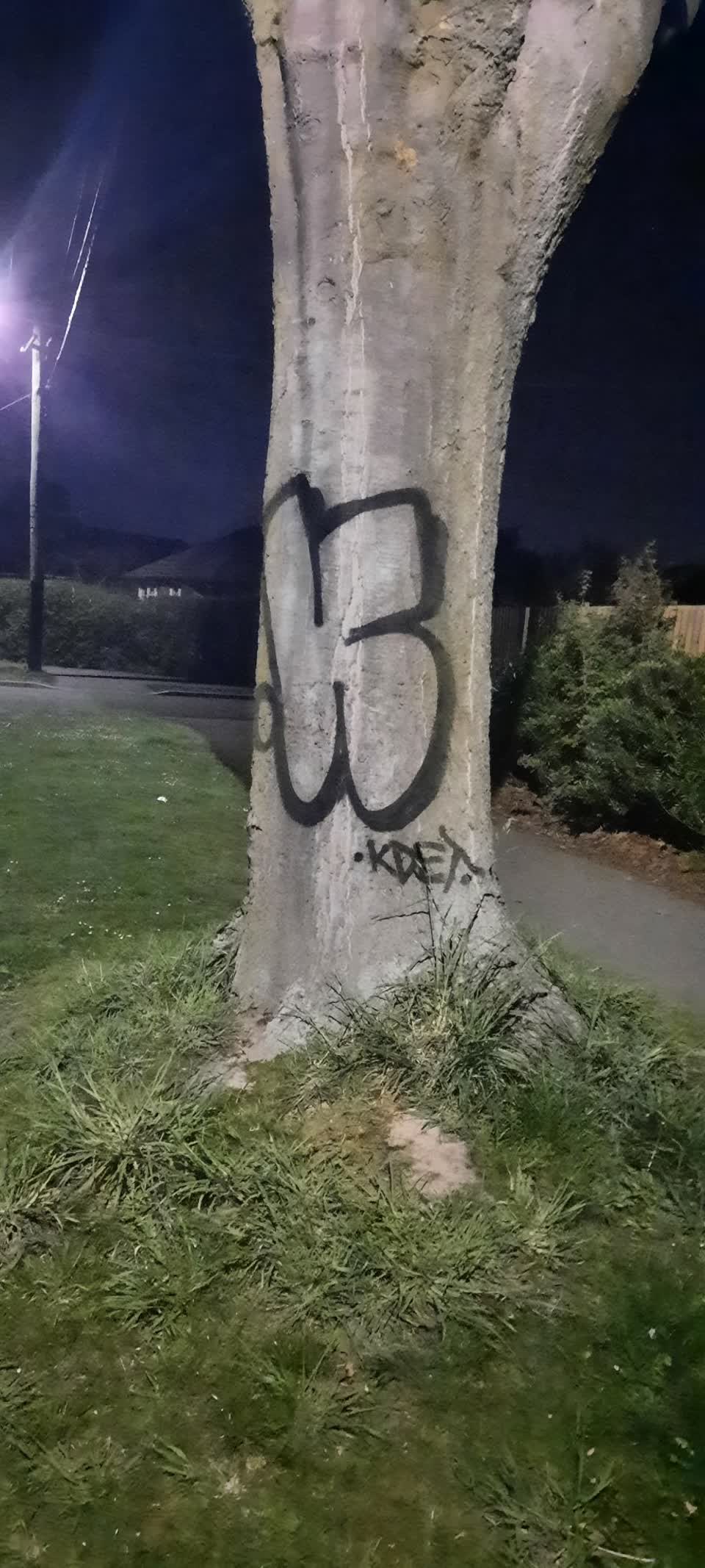 The photograph attached to this graffiti report