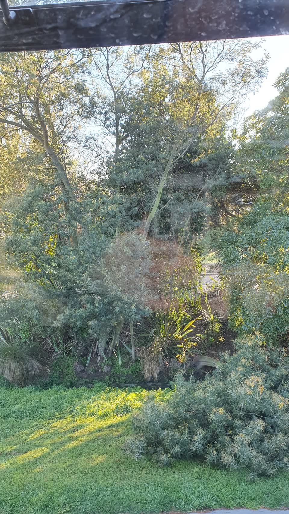 The photograph attached to this parks report