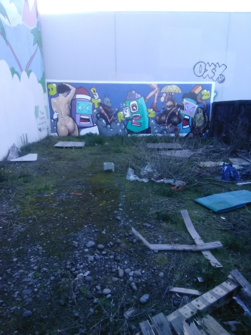 The photograph attached to this graffiti report
