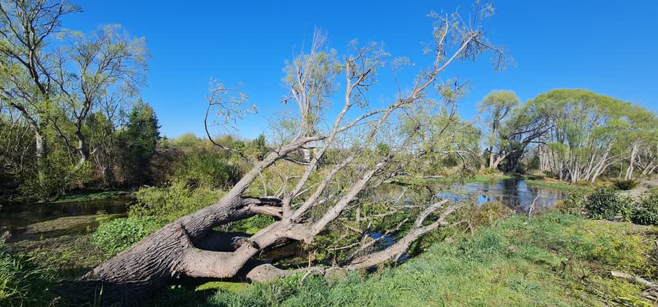The photograph attached to this parks report