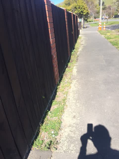 Roading/Streets, a report photo