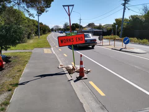 Roading/Streets, a report photo