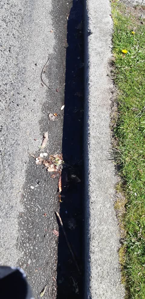 Water Leak, a report photo