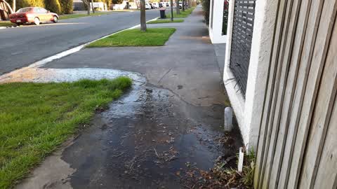 Water Leak, a report photo