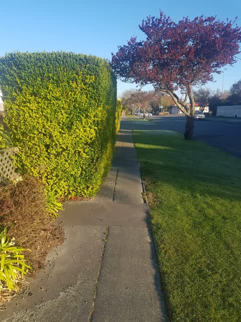 Roading/Streets, a report photo