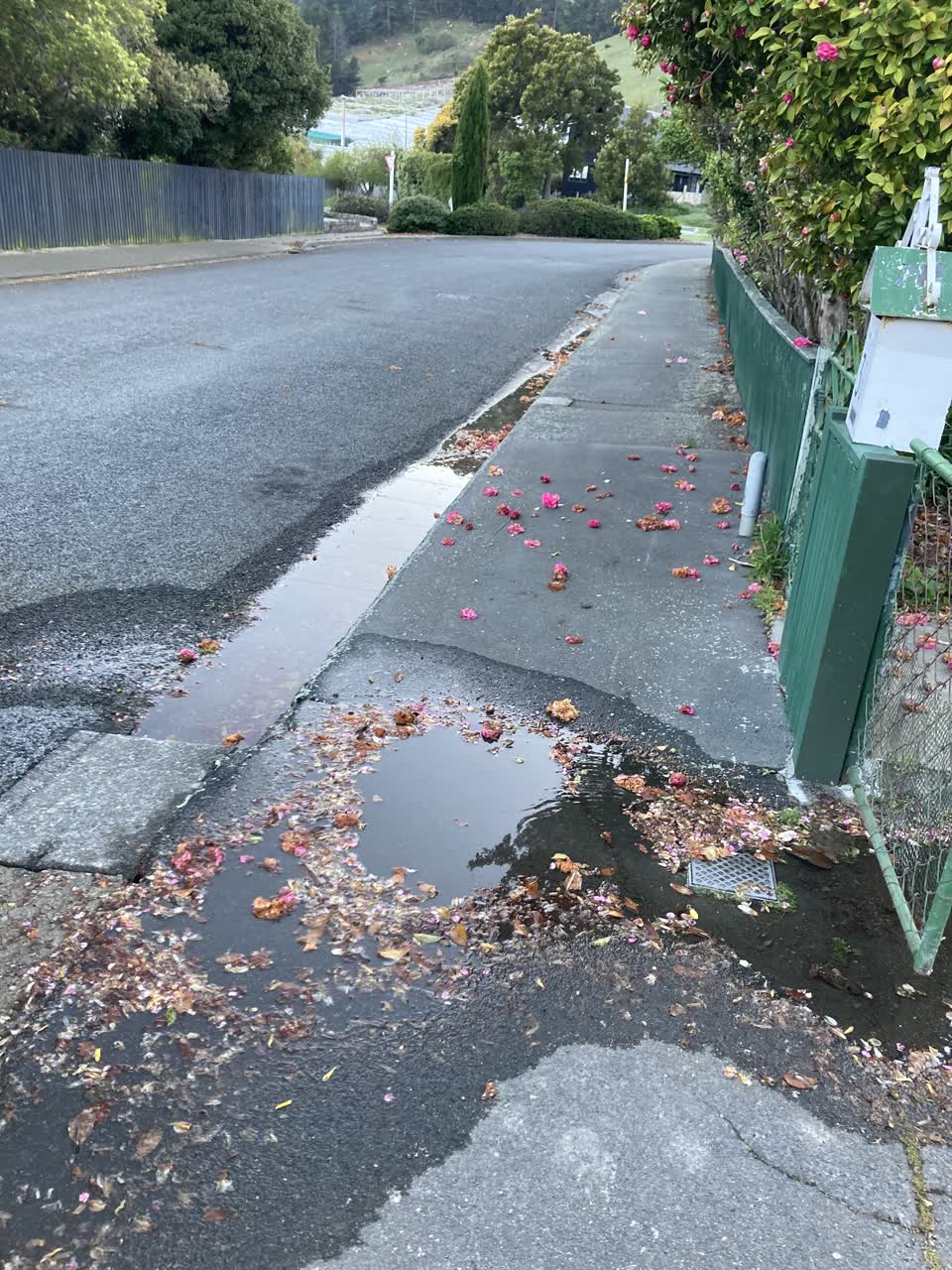 The photograph attached to this water leak report