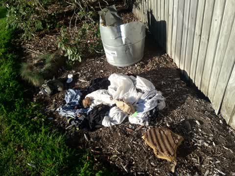 Rubbish/Recycling — a report photo