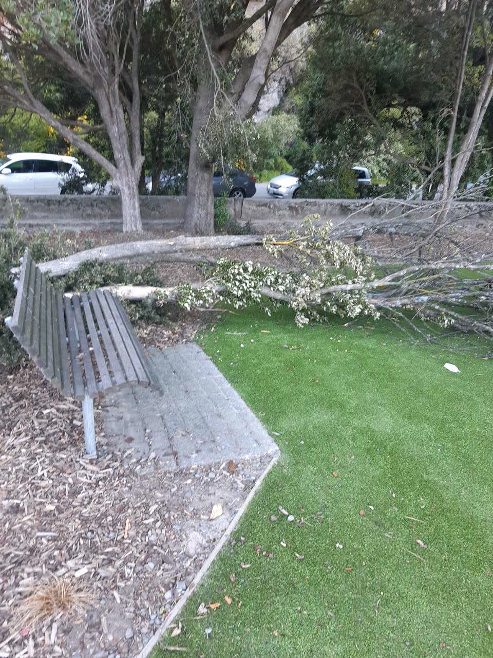 The photograph attached to this parks report