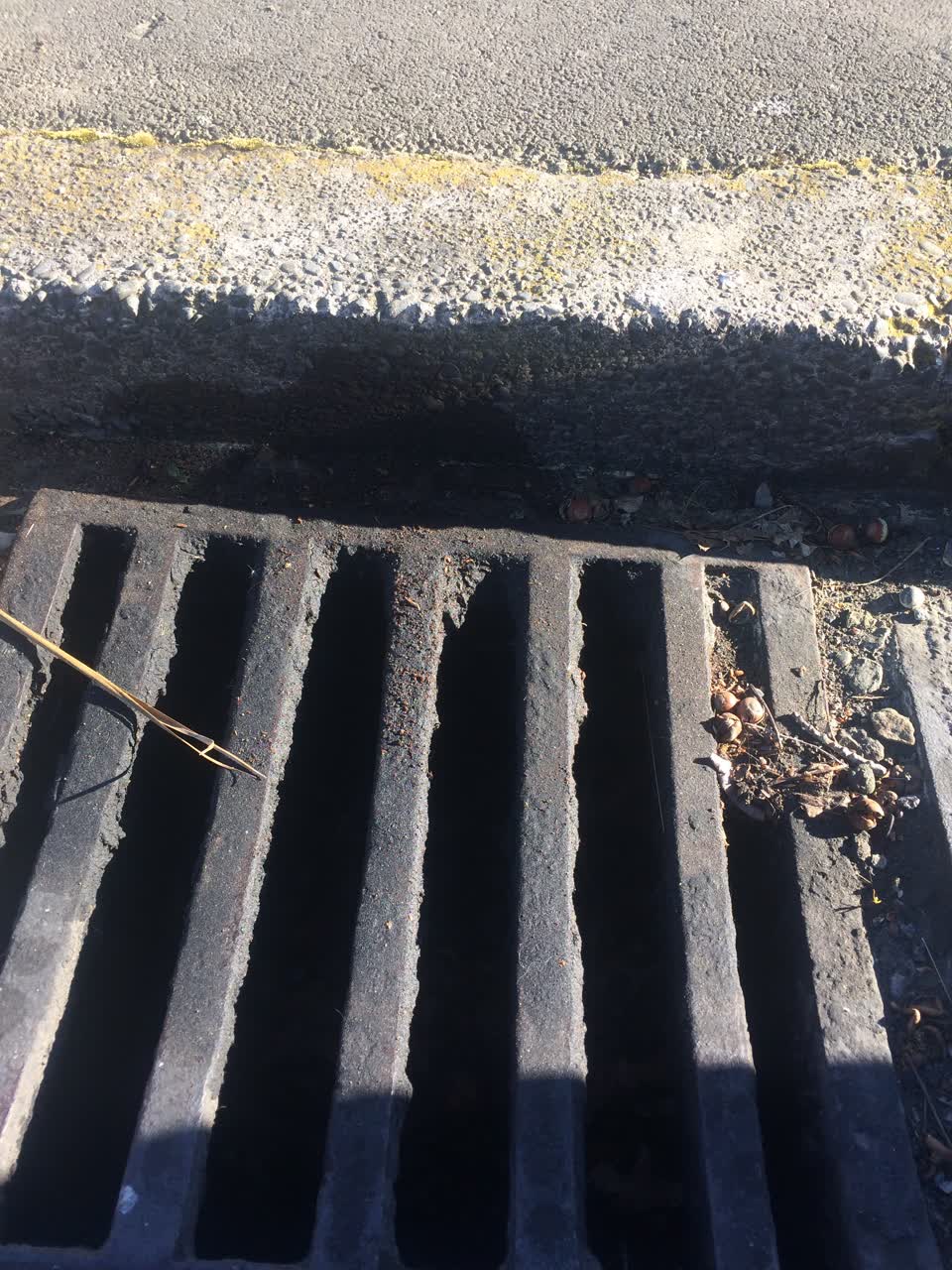 The photograph attached to this general request report