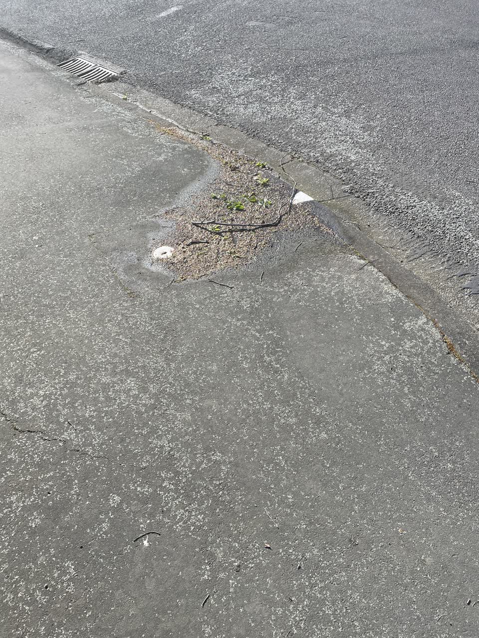 The photograph attached to this water leak report