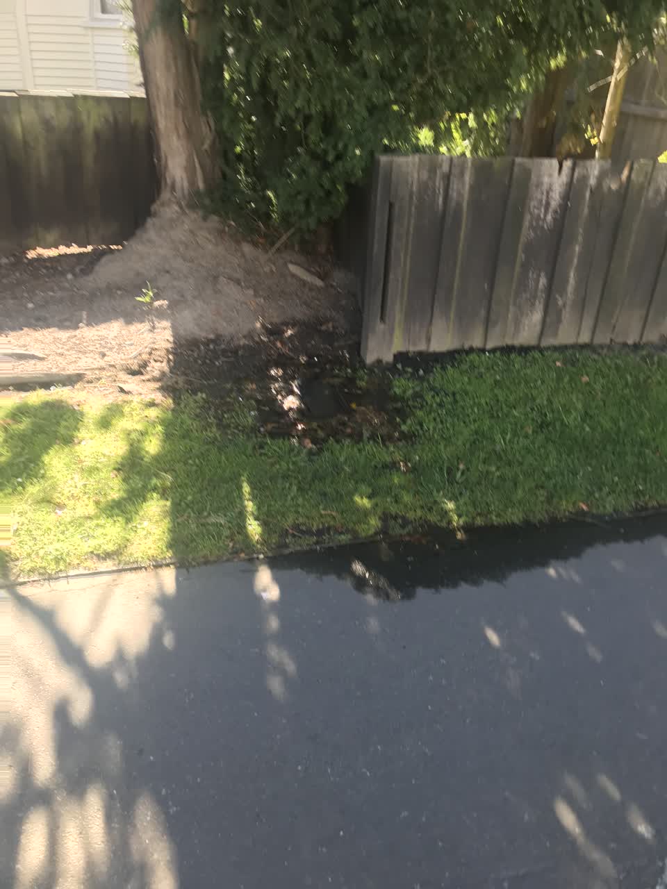 The photograph attached to this water leak report