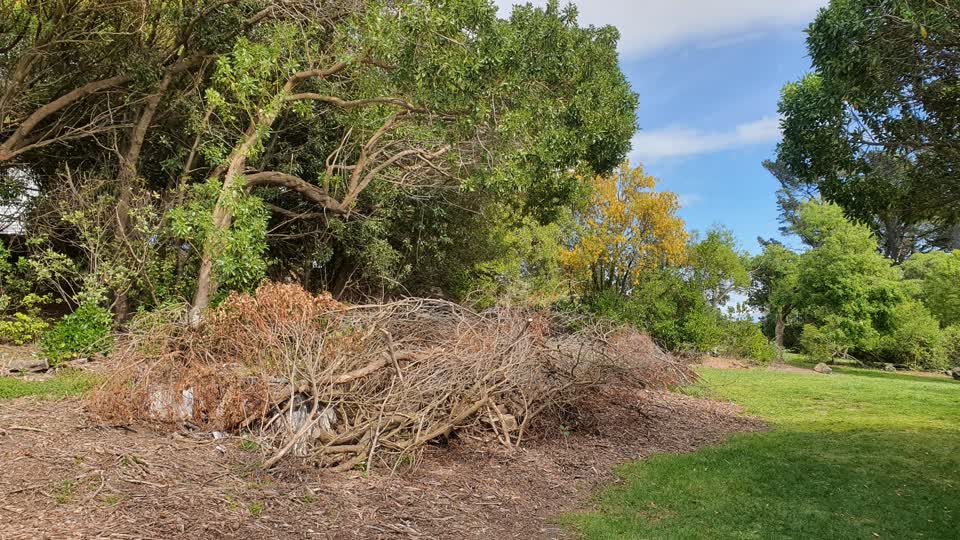 The photograph attached to this parks report