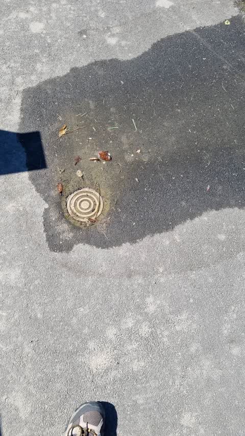 Water Leak, a report photo