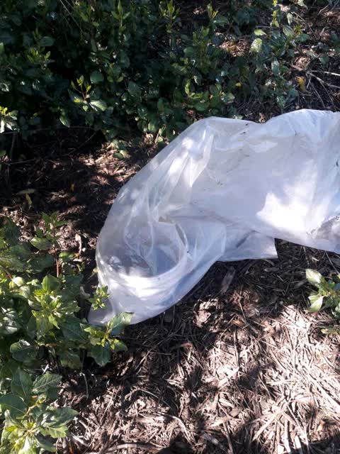 Rubbish/Recycling, a report photo