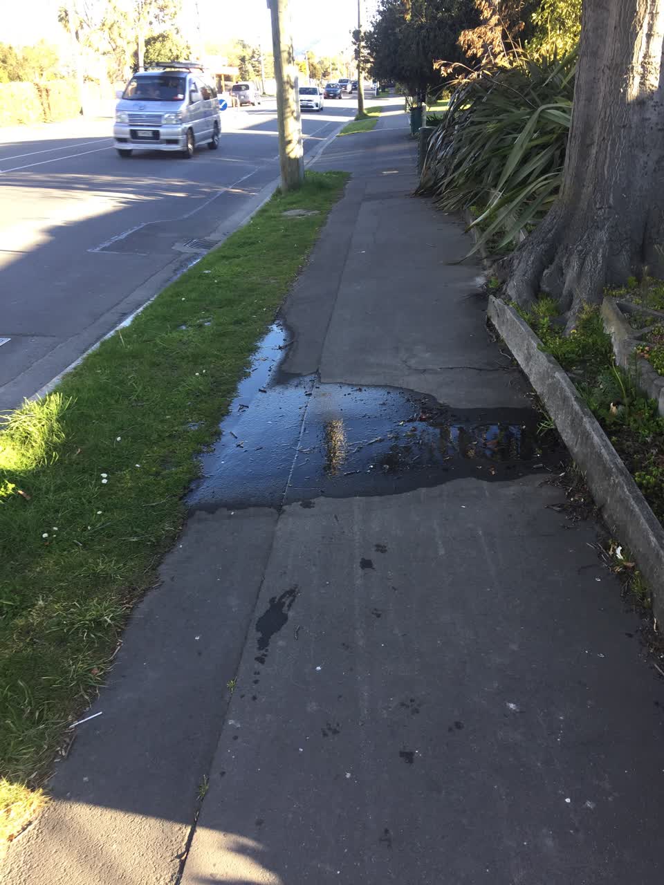 The photograph attached to this water leak report