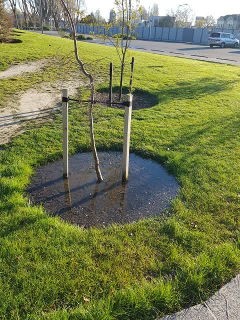 Parks, a report photo