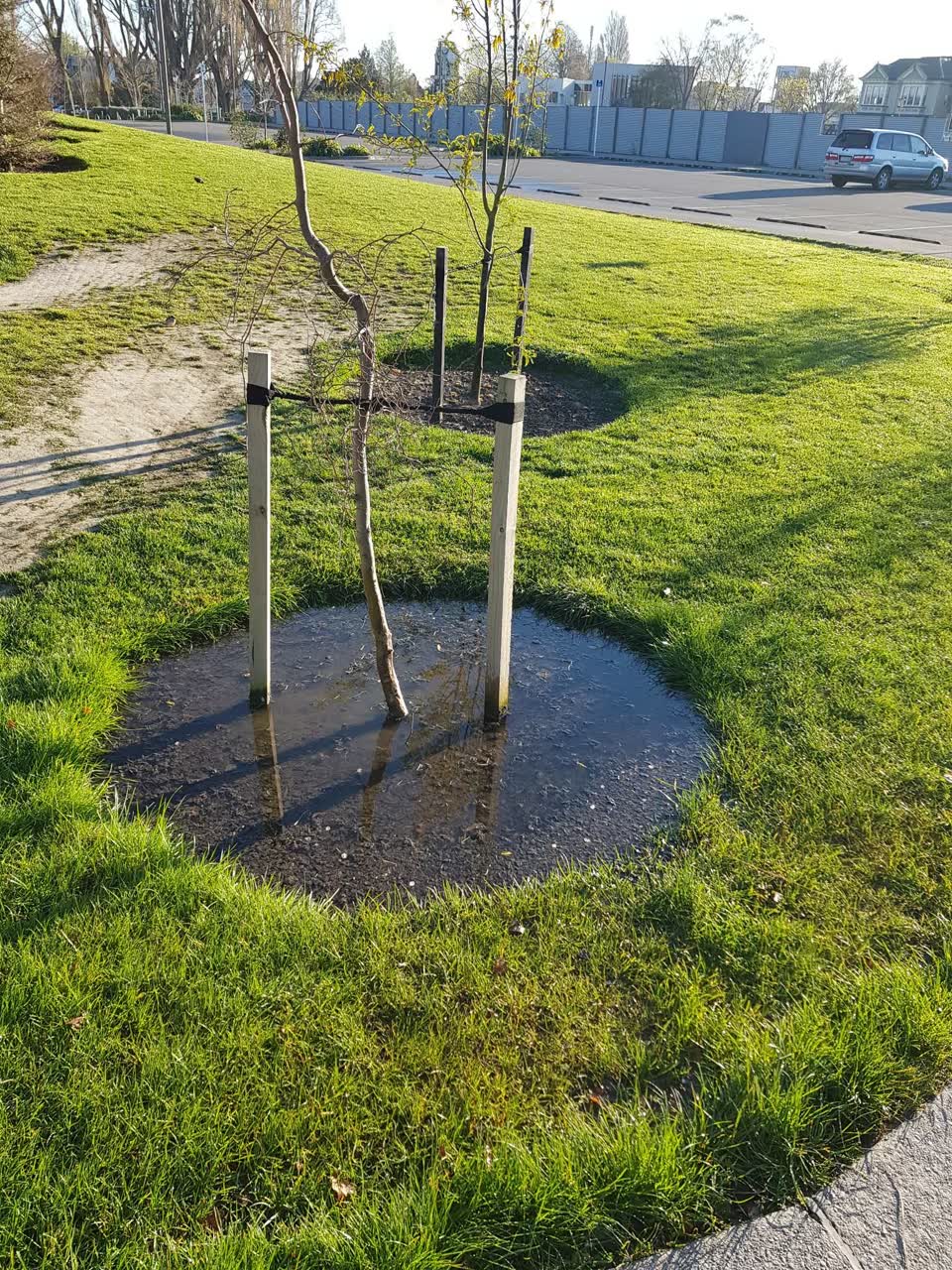 The photograph attached to this parks report