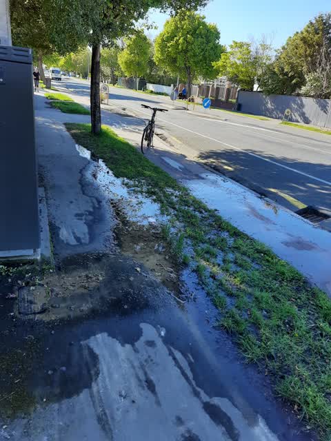 Roading/Streets, a report photo