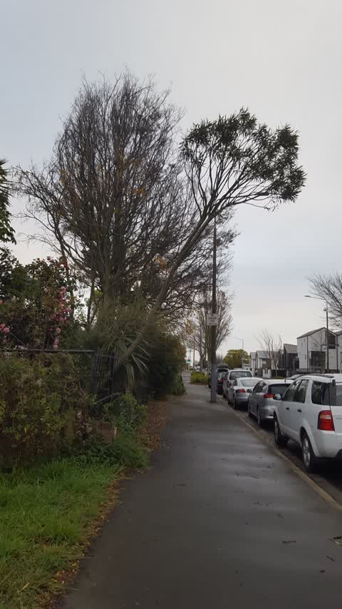 Roading/Streets, a report photo