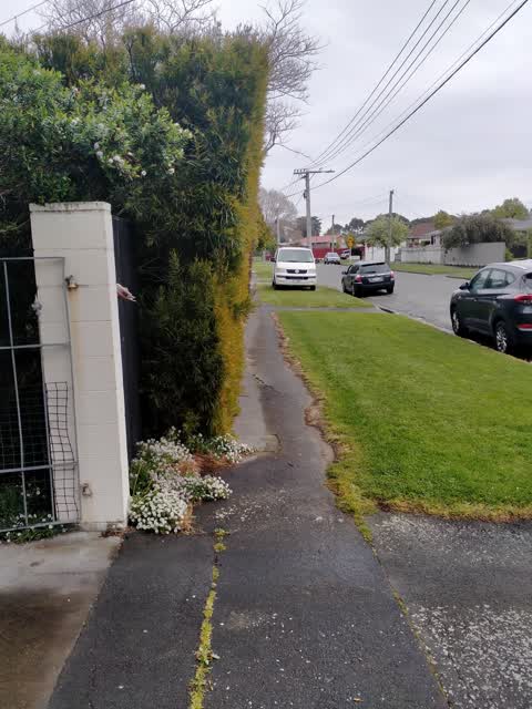 Roading/Streets, a report photo
