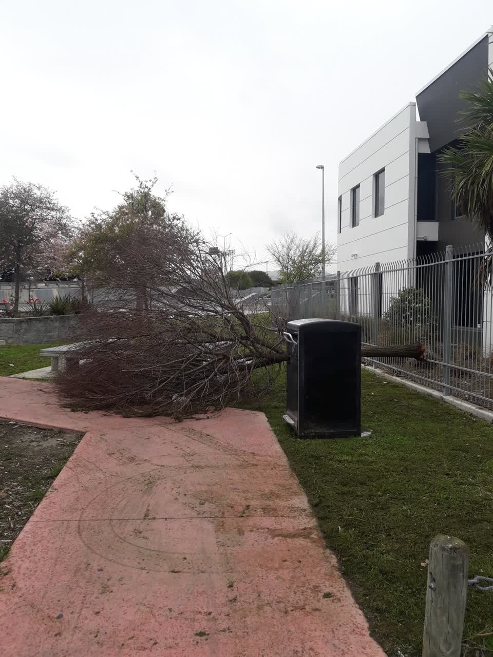 The photograph attached to this parks report