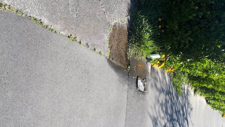 The photograph attached to this water leak report