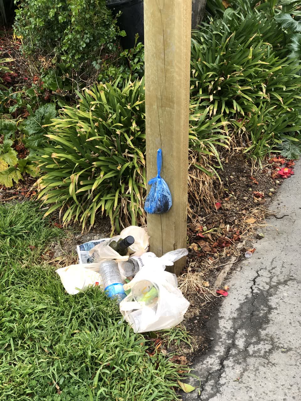 The photograph attached to this parks report