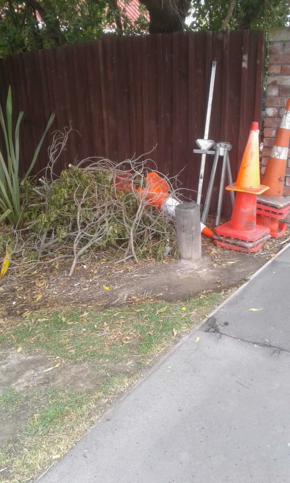 The photograph attached to this parks report