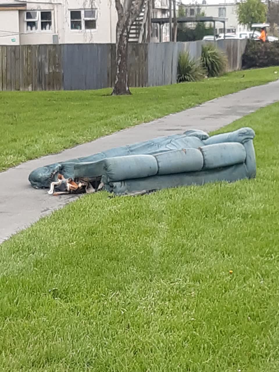The photograph attached to this parks report