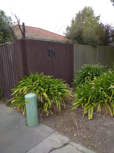 Graffiti, a report photo