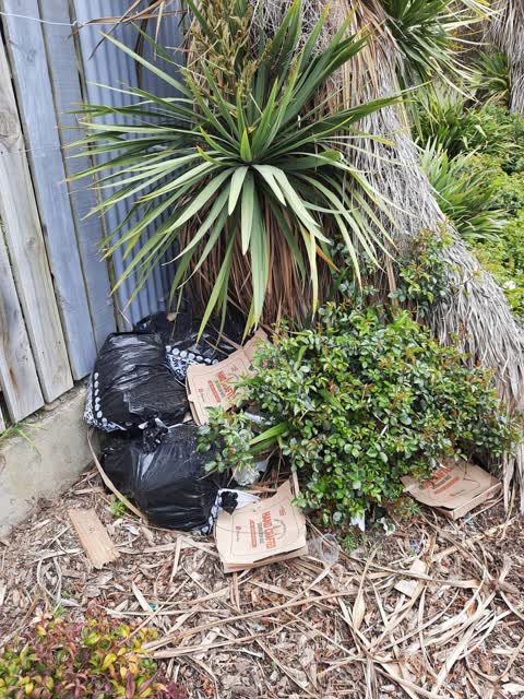 Rubbish/Recycling, a report photo