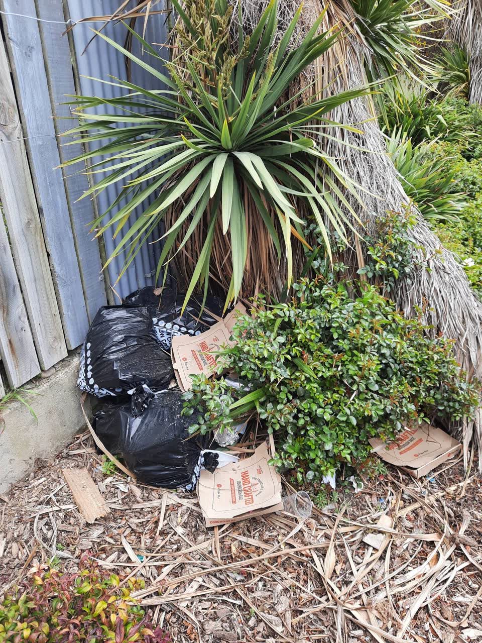 The photograph attached to this rubbish/recycling report