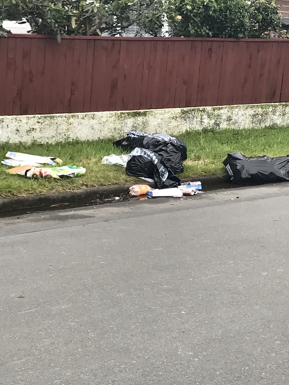 The photograph attached to this rubbish/recycling report