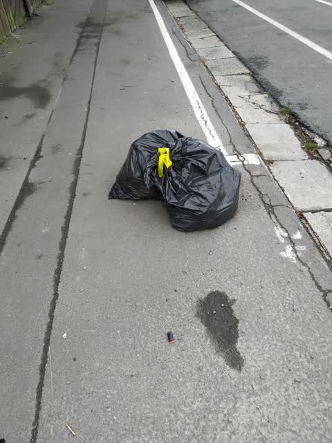 Rubbish/Recycling, a report photo