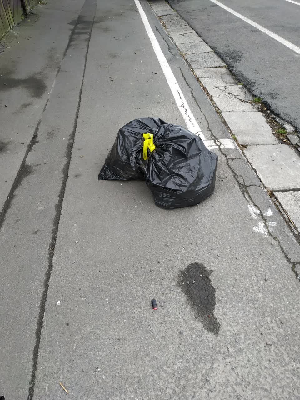 The photograph attached to this rubbish/recycling report
