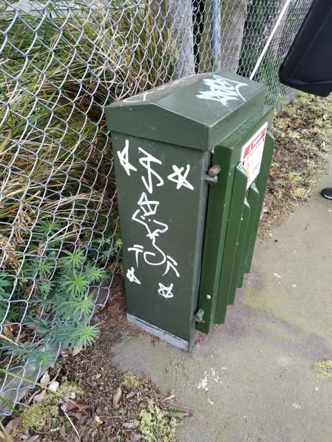 Graffiti, a report photo