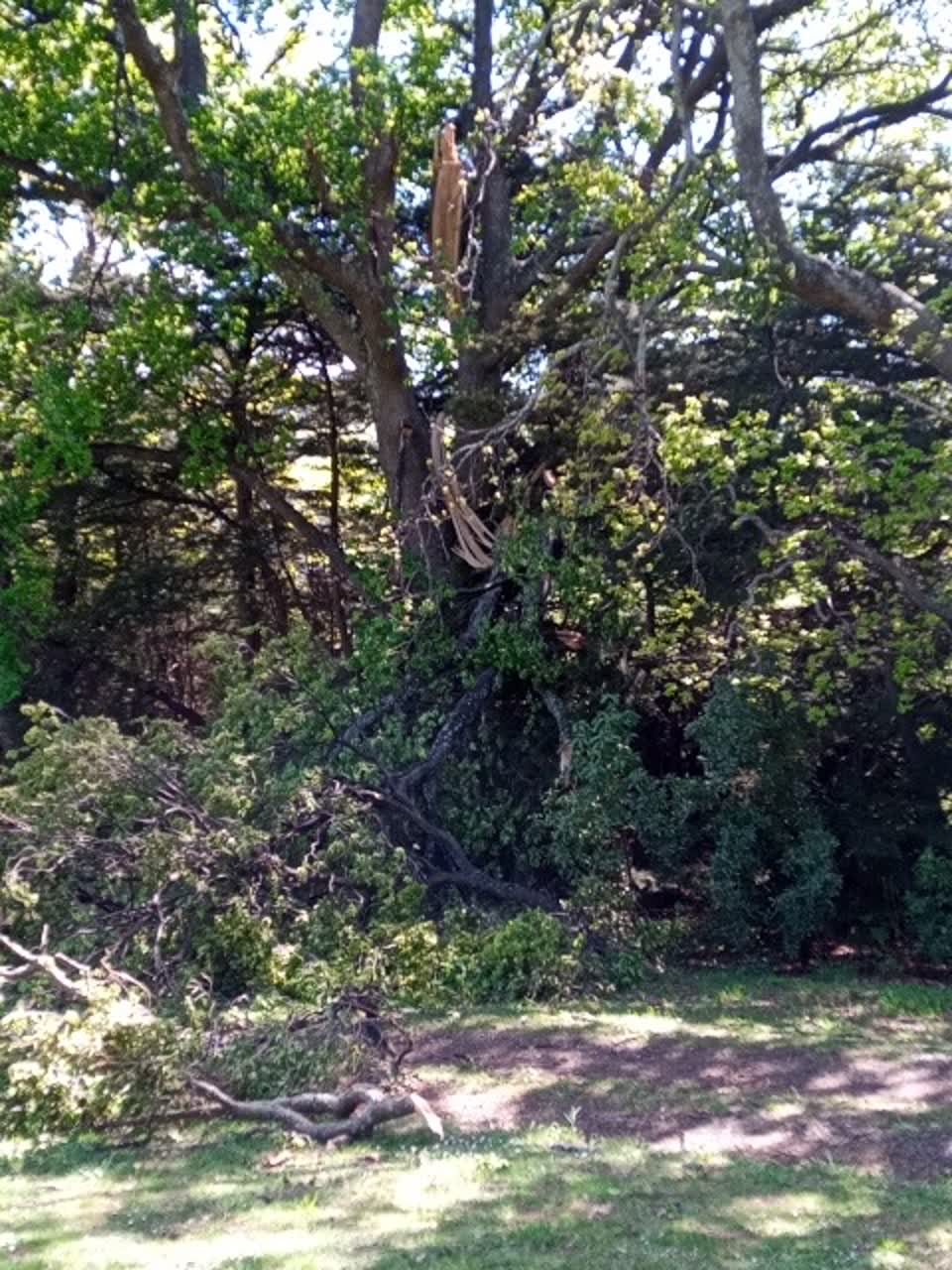 The photograph attached to this parks report