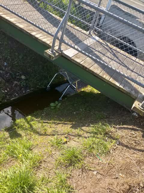 General Request, a report photo