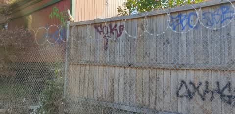 Graffiti — a report photo