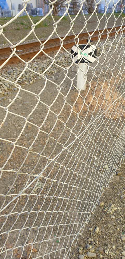 Graffiti — a report photo