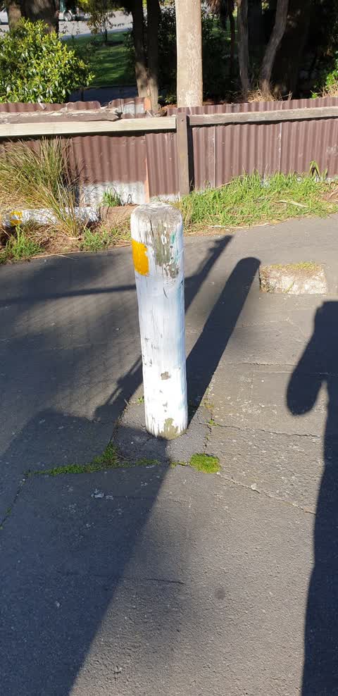 Roading/Streets — a report photo
