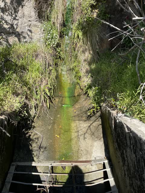 Wastewater/Stormwater, a report photo