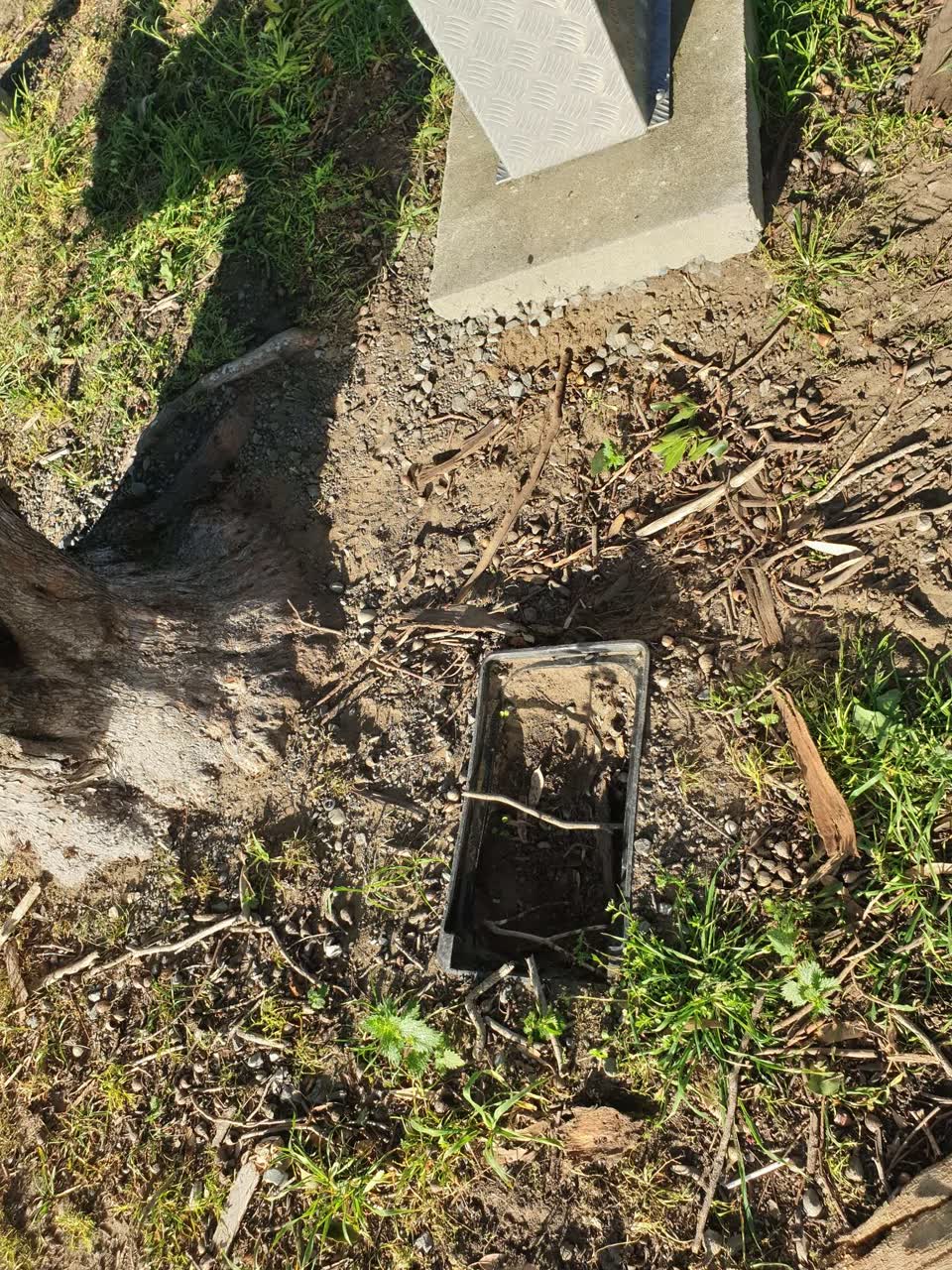 The photograph attached to this parks report