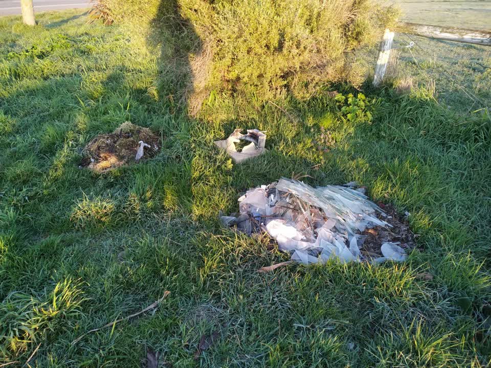 The photograph attached to this rubbish/recycling report